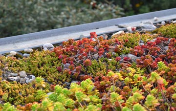 the cost of Merry Field Hill green roof installation