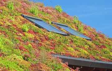 Merry Field Hill living roof systems
