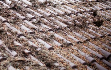 Merry Field Hill roof cleaning companies