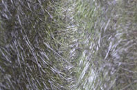 Merry Field Hill fibreglass roof work